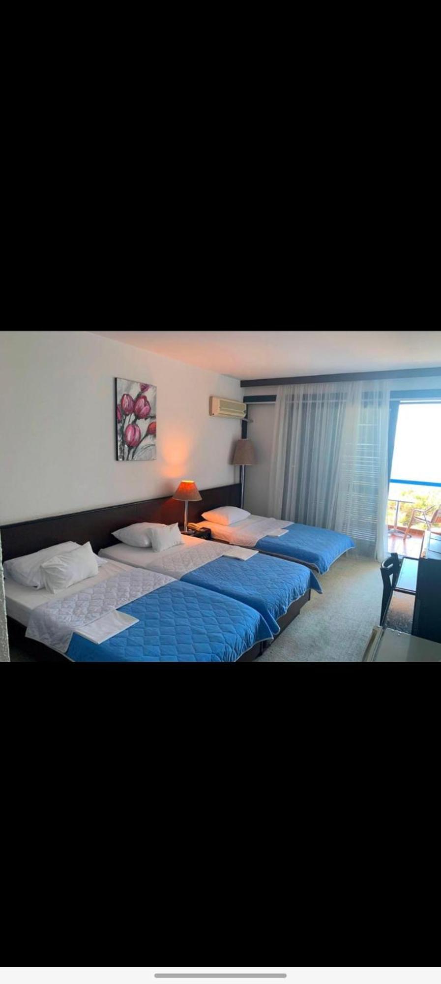 Corpus A - Hotel Albatros أولتْسي المظهر الخارجي الصورة